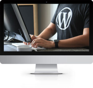 WORDPRESS PARTNER PROGRAM TO SCALE EARN visual data 4